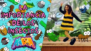 🐝La importancia de los Insectos 🐞- Ciudad Kaboom 🤖😺👽
