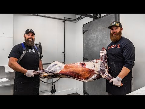 Video: Làm Thế Nào để Giết Thịt Một Con Nai Sừng Tấm