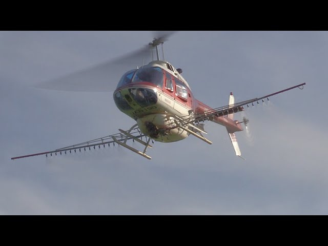 2023ヘリコプター航空防除作業】ヘリサービス Bell 206B-3