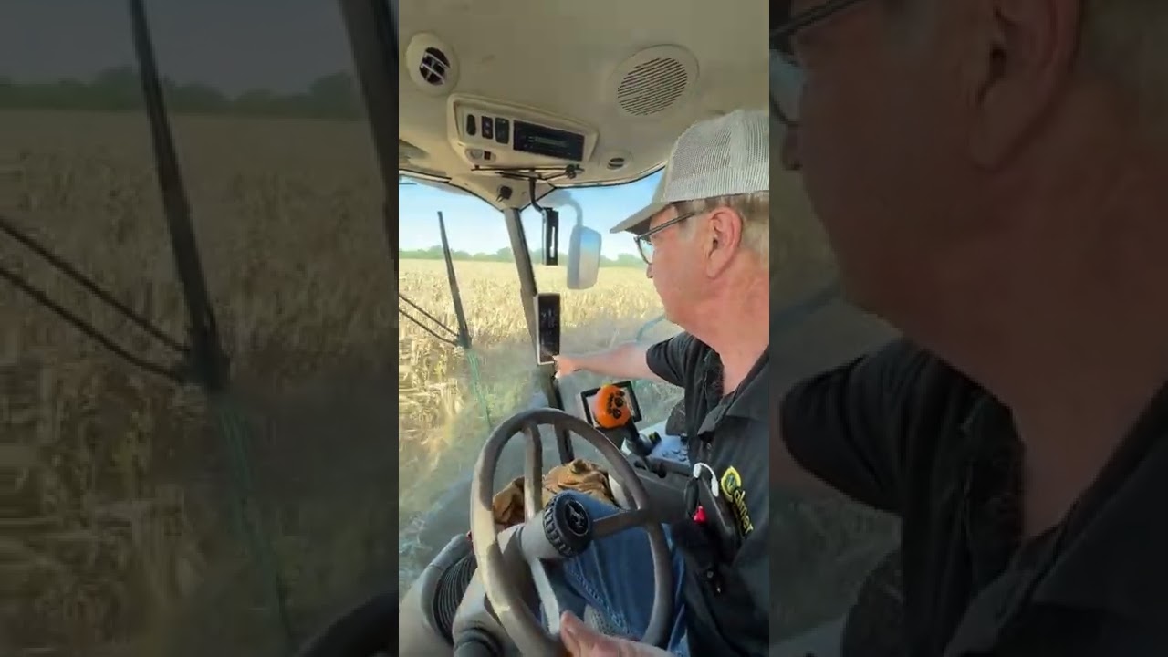 Grain Loss Monitor Tutorial with Marion Calmer