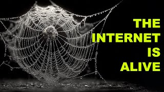 AI Discovered That the Internet Is Becoming Self-Aware | Project 23 Transmission 37