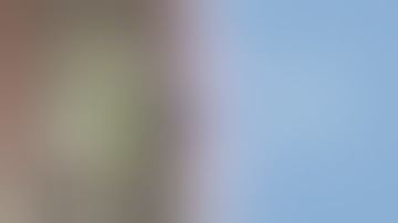 Memory Book 2 (by Tonic) tutorial