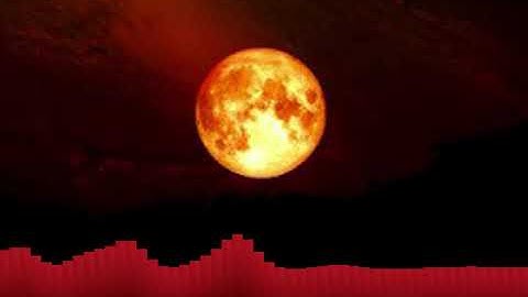 Blood Flood simulation using Shallow Water Equation