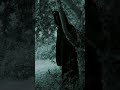 Floresta assustadora #shorts #terror #fantasma #floresta #misterio #cinema #viral #medo #angola #por