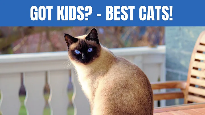 Watch the video about Discover the PURRfect Cat Breeds for Families with ****!