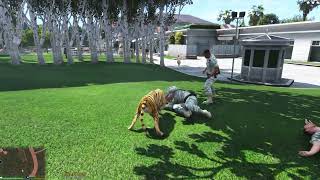 Tiger Simulator: Tiger Games screenshot 4