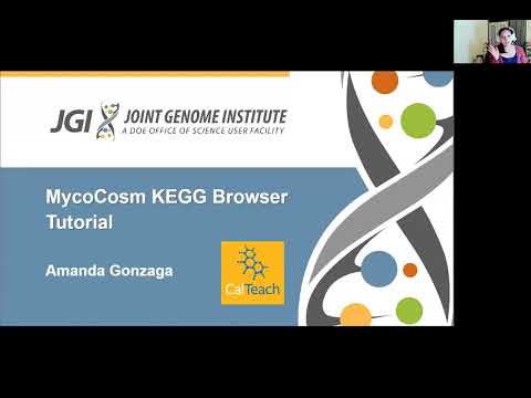 Amanda Gonzaga: MycoCosm KEGG Tutorial