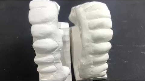 Bloomden 3D Pro Multilayer Zirconia block