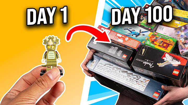 I Built 100 LEGO Sets in 100 Days