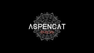 ASPENCAT - Trenca els miralls (amb Mai) chords