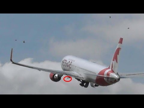 *BIRD STRIKE* Air Canada Rouge B767 Hits a Flock of Birds on Departure from Manchester- Inspection!