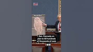 Sen. Kennedy on plan to kill owls