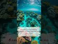 Твой успех начинается с этой фразы
