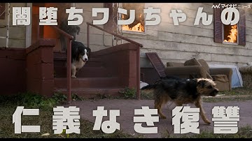 映画『テッド』のスタジオ最新作！吹替キャストにロバート秋山、マギー、森久保祥太郎、津田健次郎、森川智之らが決定　映画『スラムドッグス』吹替版予告映像公開