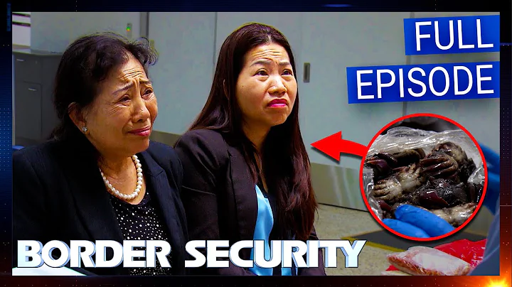 Travellers Caught Smuggling Live CRABS | S14 EP13 FULL EPISODE | Border Security Australia
