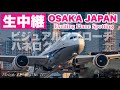 🔴 LIVE OSAKA ITAMI Airport 2026/4/18 大阪伊丹空港 ライブカメラ