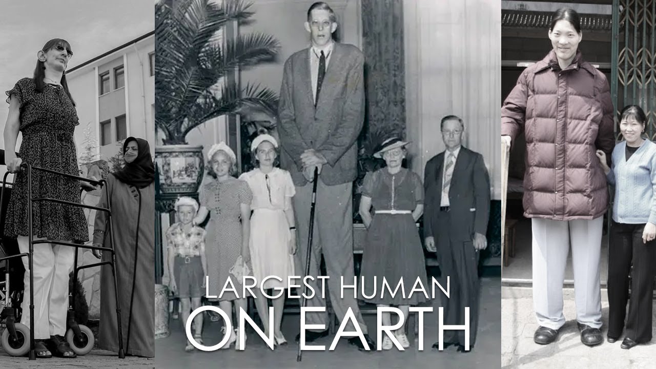 Biggest Human Ever Existed Real Life Giants Tallest People In The biggest-human-ever-existed-real-life-giants-tallest-people-in-the