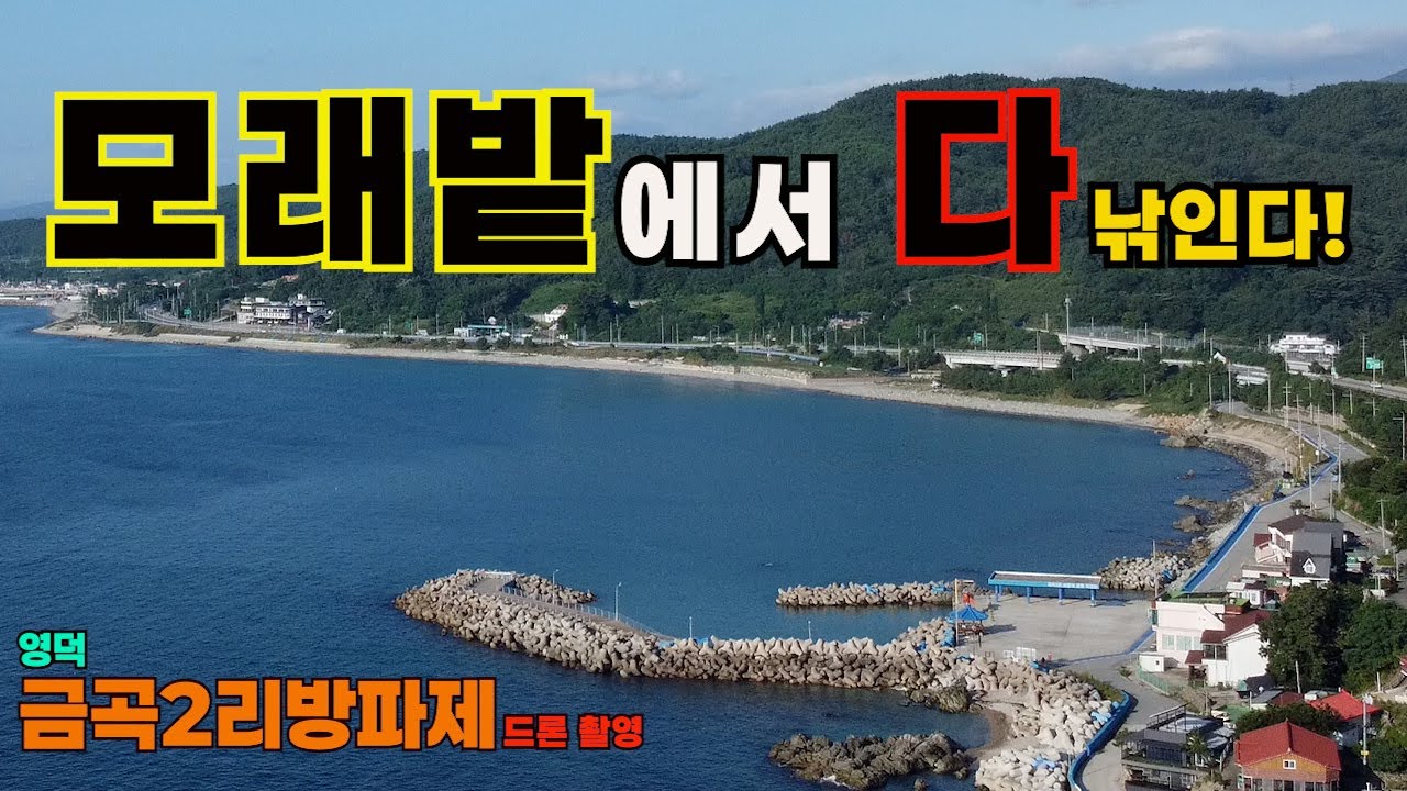 벵에돔 & 무늬오징어 입질 대폭발!