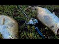 Cần Lure Giá Rẻ Nhưng Chất Lượng Hơn Tầm Giá | Chỉ 360K | #hiepfishingtv