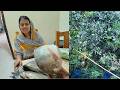 টাটকা সবজি ও মাছ কিনে বাড়িতে গিয়ে দারুণ আনন্দ করলাম। 🐟🥬 | Full Family Vlog | Doyel Kotha