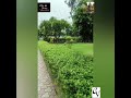 Green spaces | sukun | #placestovisit #naturelovers #journey #instagood