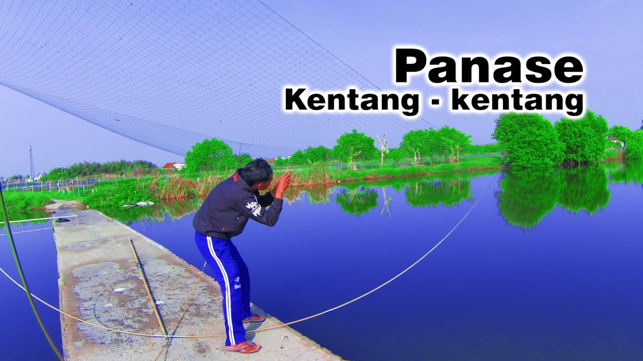 🔴МАНДЬЯГУНГ ГОРЯЧИЙ КАРТОФЕЛЬ КАРТОФЕЛЬ || Бранджанг / Анко / Рыболовная сеть