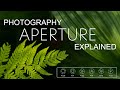 HOW APERTURE AFFECTS YOUR PHOTOS. Photography Aperture Explained.