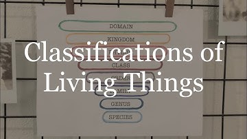 Classical Conversations Cycle 1 Week 1 Science