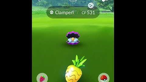 Pokémon go ( I got a shiny ✨ Clamperl )from Field Research