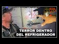 TERROR EN LA CABAÑA