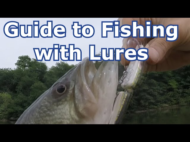 How to Use a Fishing Lure - Best Lures for Beginners- Tips and Basics 