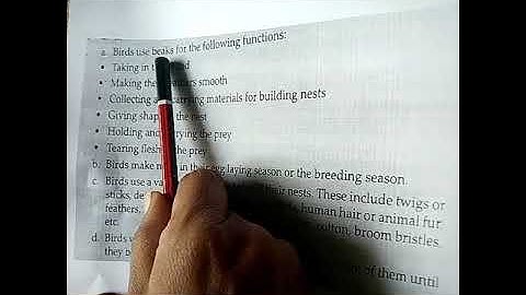 4-12-2020 | Class -4 |Subject- Evs |Chapter- 10 |Topic - The Beautiful Birds