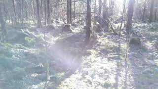 Birdsview Single Track.. by Eric Troili AirWreck 44 views 5 years ago 1 minute, 36 seconds