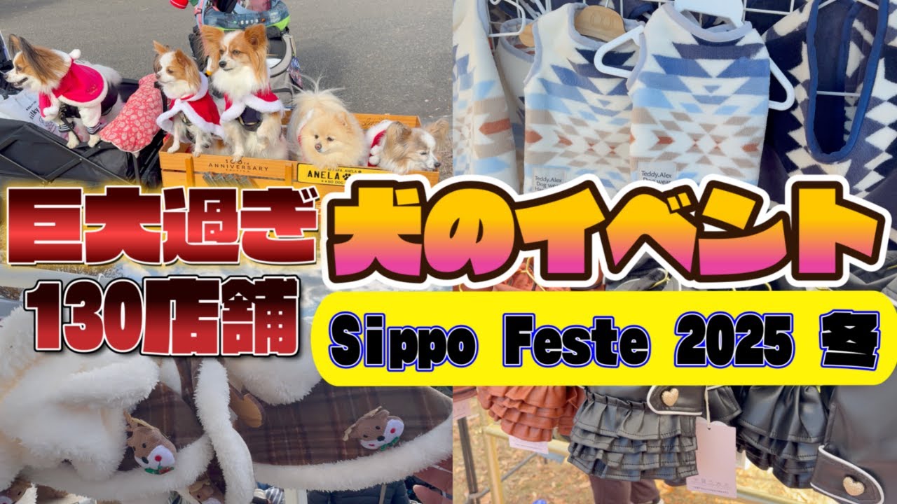 【犬イベント】【可愛すぎ注意】サンタのわんこ大集合！しっぽフェスタで見つけた最高のクリスマス！