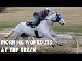 Morning workouts at the track