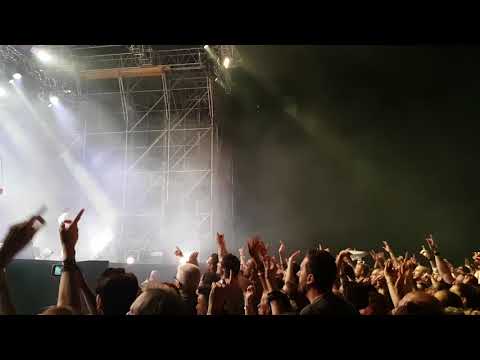 Negrita Torino 5