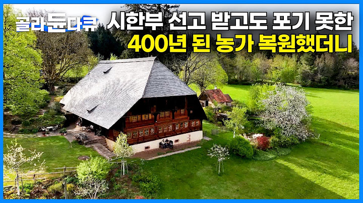 이 정도면 고쳐 살만 하다. 외딴 숲속에서 100살 나무로 400년 된 농가 고쳐 집으로 만든 남자｜건물만 3채. 외딴 숲속에서 넓게 사는 방법｜독일 여행｜세계테마기행｜#골라듄다큐