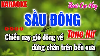 Karaoke Sầu Đông Tone Nữ | Beat Cực Hay | Karaoke Duy Trần