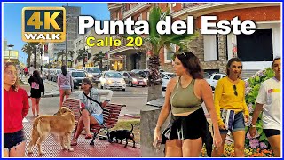【4K】WALK Calle 20 PUNTA del ESTE 2022 Uruguay vlog 4k video