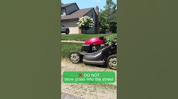 Learn How to Mow Correctly – Keep Grass Clippings Out of the Street