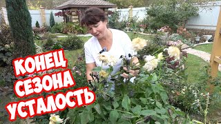 картинка: Сад, советы, блог и ностальгия... Я устала или выгорела?