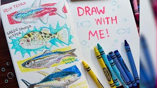 ☆DRAWING FISH WITH CRAYOLA CRAYONS☁️Draw with me!