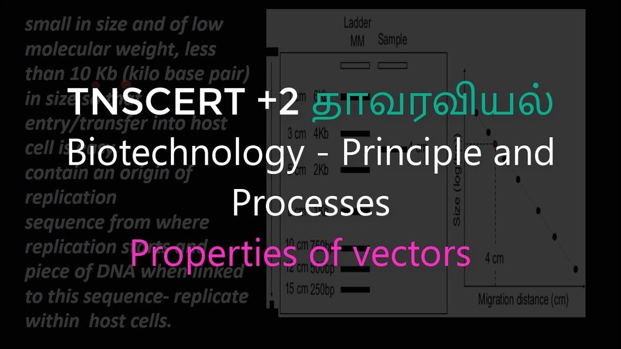 13.Botany | Biotechnology - Principle and Processes | Properties of ...