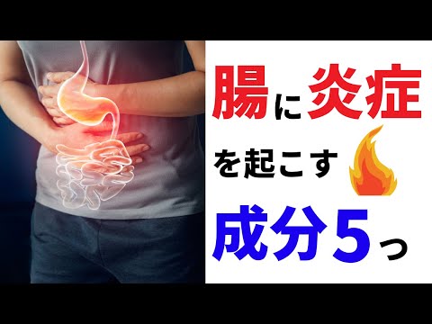 【腸がボロボロになる成分】炎症を引き起こす食べ物｜千尋の栄養学