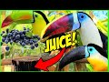 Toucans Try Blueberry Juice for the First Time!