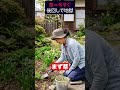 9割が知らない“GW前にやるべき庭仕事”3選　#shorts #庭師