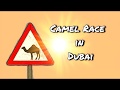 Camel Race in Dubai