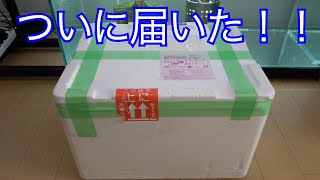 パワーは文句なし！！ただ一つ問題が・・・