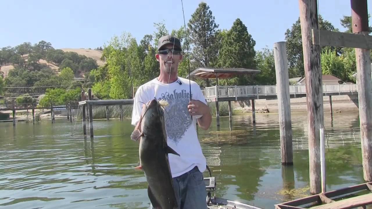 Big Catfish caught on a swimbait when bass fishing! - YouTube