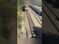 a guy saves a dog from a train at last moment